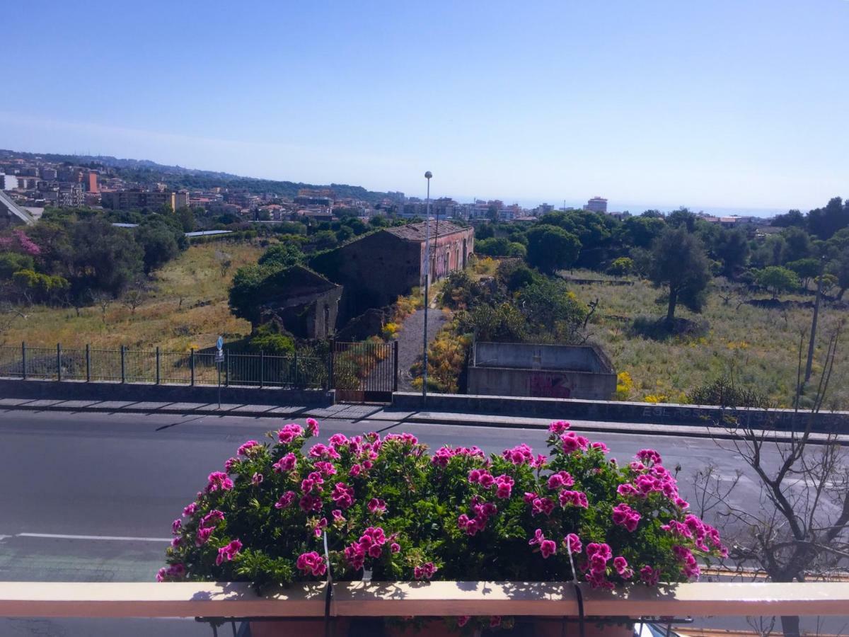 B&B Policlinico Gaspare Rodolico Catania Exterior photo